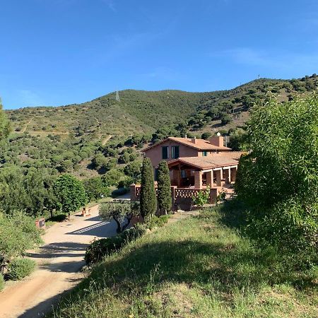 Can Ballus Bed&Breakfast Tiana Bagian luar foto