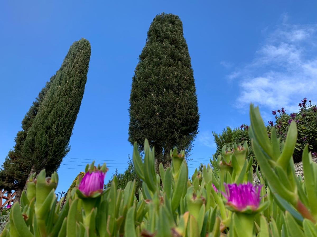 Can Ballus Bed&Breakfast Tiana Bagian luar foto