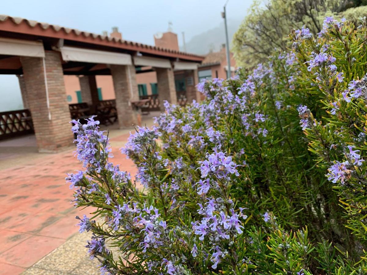 Can Ballus Bed&Breakfast Tiana Bagian luar foto